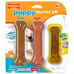 Nylabone Puppy Chew Starter Kit with Nubz Treat Turkey Small 3CT