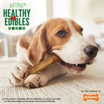 Nylabone Healthy Edibles Longer Lasting Bacon 12 Count Pouch Wolf