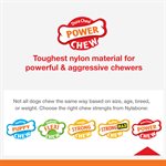 Nylabone « Power Chew » Facile à Saisir Saveur Bacon Grand / Géant