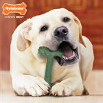 Nylabone Power Chew Easy-Hold Bacon Large / Giant