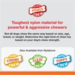 Nylabone Power Chew Animal Part Alternative Marrow Bone Beef Large