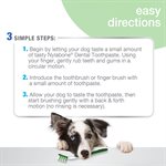 Nylabone Advanced Oral Care Natural Dog Dental Kit 
