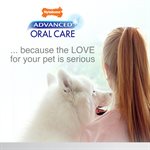 Nylabone Advanced Oral Care Senior Dog Dental Kit Small