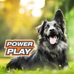 Nylabone Power Play Fling-A-Bounce Large