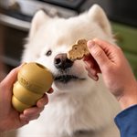 KONG Snacks Birthday Cake Recipe Small