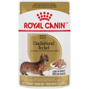 Royal Canin Nutrition Santé de Race Teckel Tranches en Sauce pour Chiens 12 / 3oz