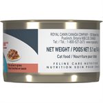 Royal Canin Feline Care Nutrition Urinary Care Thin Slices in Gravy 24 / 5.1oz