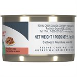 Royal Canin Feline Care Nutrition Digestive Care Thin Slices in Gravy 24 / 5.1oz