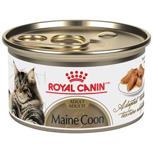 Royal Canin Feline Breed Nutrition Maine Coon Thin Slices in Gravy Cat 24 / 3oz