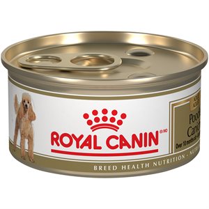 Royal Canin Nutrition Santé de Race Caniche Adulte pour Chiens 24 / 3oz