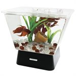 Tetra Betta LED Tank Aquarium Kit 1 Gallons
