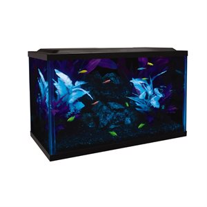 Spectrum GloFish Glass Aquarium Kit 10 Gallons