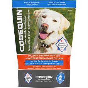 Nutramax Cosequin® Plus MSM & Omega-3's Joint Supplement for Dogs 120 Count Soft Chews