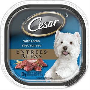 Cesar Adult Dog Classic Loaf in Sauce Lamb Recipe Trays 24 / 100g